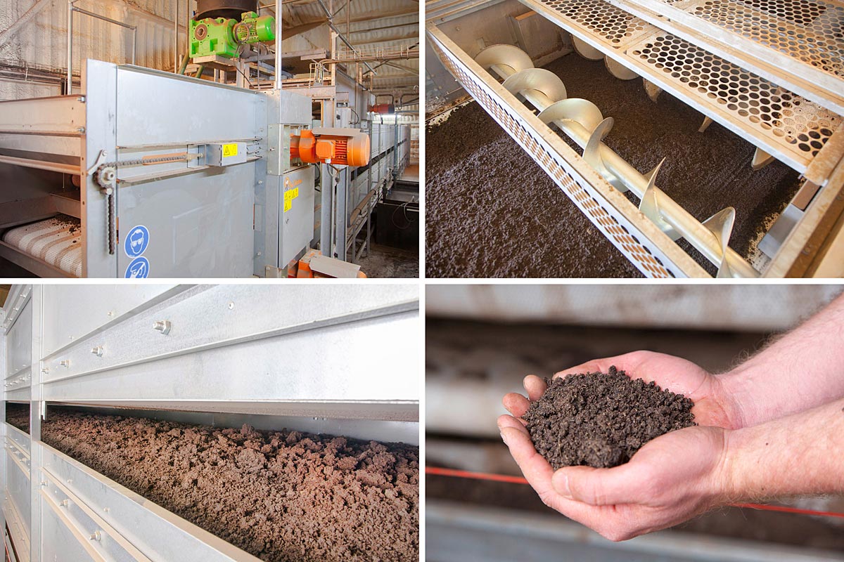 خریدار انواع کود مرغی