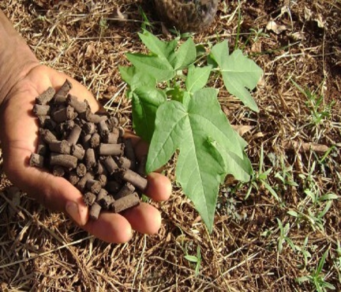 موارد مصرف کود پلیت مرغی