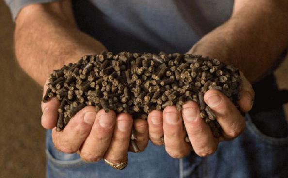 قیمت کود مرغی مایع در بازارهای بین المللی