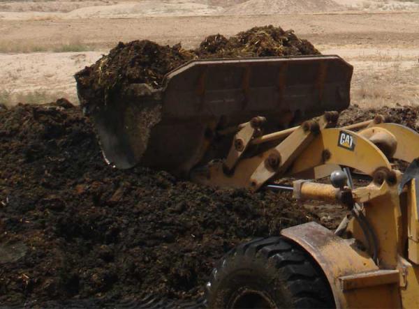 خریدار ارزان ترین کود های مرغی