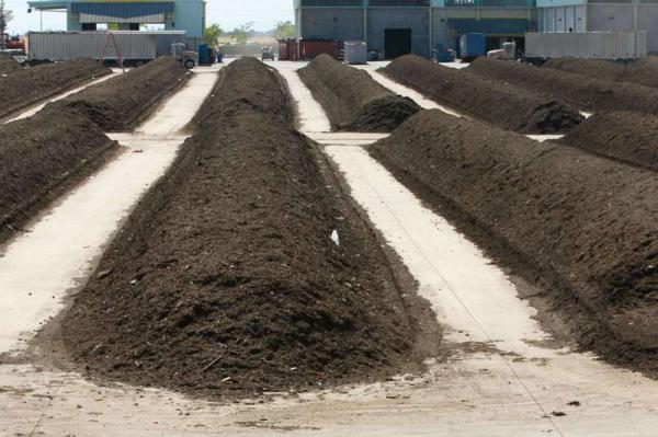 تفاوت قیمت کود های حیوانی و شیمیایی