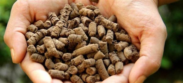 عرضه کود مرغی از مرغداری