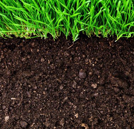 فروشنده کود مایع مرغی در ایران 