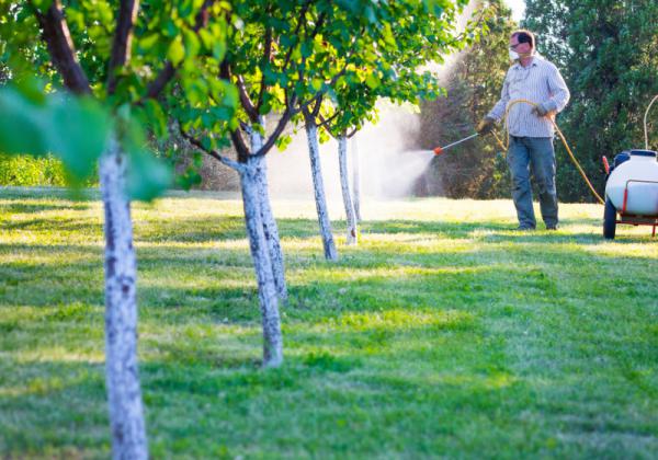 قیمت کود مرغی در بازار روز