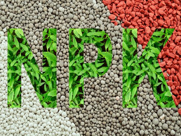 استفاده از کود npk در کشاورزی 