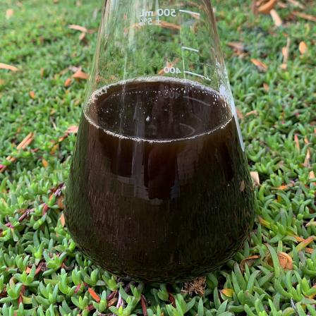 صادرات کود مرغی مایع به خارج از کشور