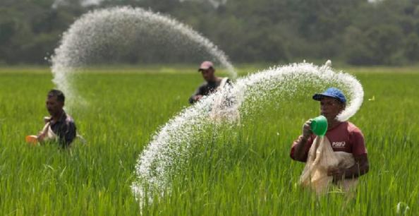 لیست قیمت کود مرغی مایع 