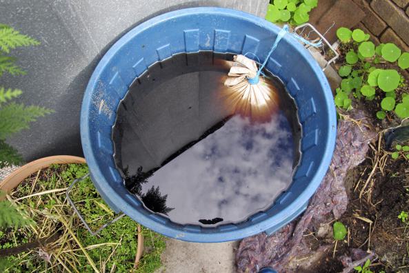 ارزان ترین کود حیوانی در فروشگاه های اینترنتی