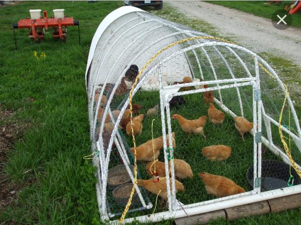 آگهی فروش انواع کود مرغی باکیفیت و ارزان در سایت