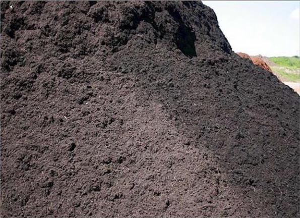 صادرات کود مرغی به ترکیه