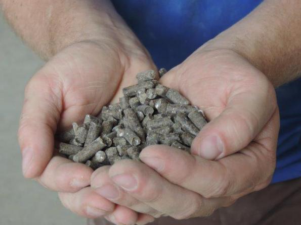 ارسال کود مرغی به تمام کشور