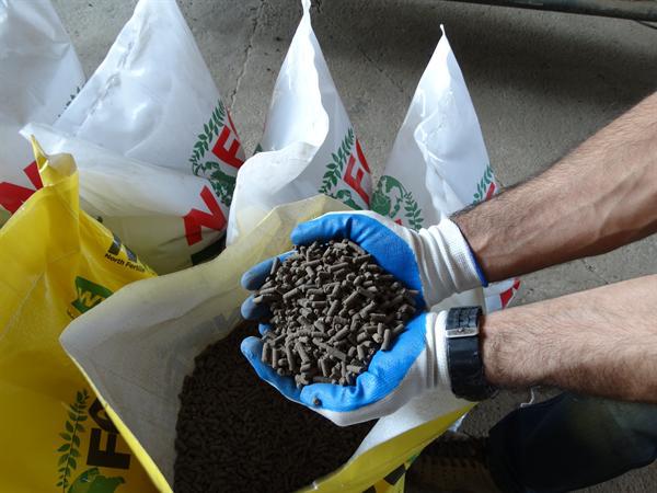 تولید کننده بزرگ مرغی مایع