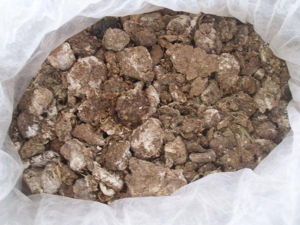 کود مرغی برای چه مصارفی استفاده می شود؟