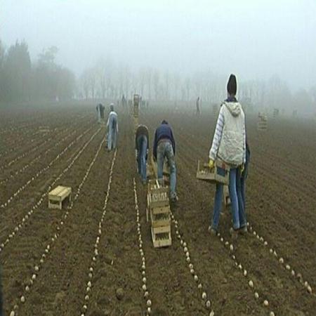 نحوه تولید کود مرغی مایع 