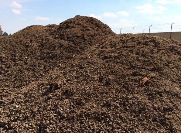 بهترین کود برای افزایش بار خیار 