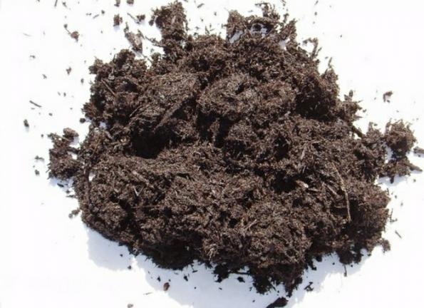 قیمت فروش مستقیم کود مرغی مایع یونجه