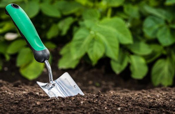 قیمت عرضه مستقیم کود مرغی فراوری شده