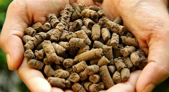 قیمت فروش عمده انواع کود مرغی در بازار