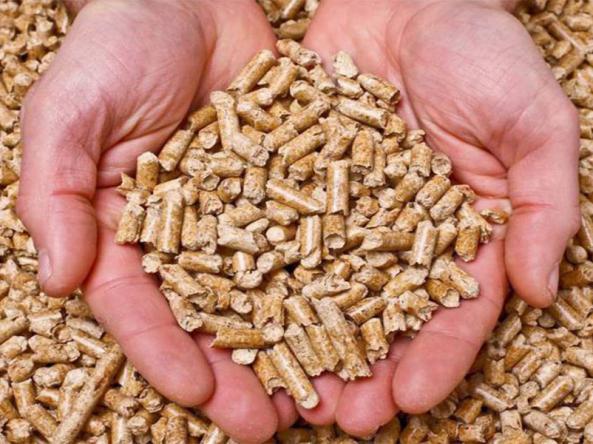 نحوه فرآوری انواع کود مرغ در کارخانه 