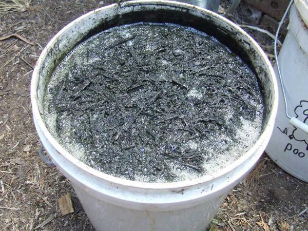 مزایای استفاده از کود مرغی در پاییز