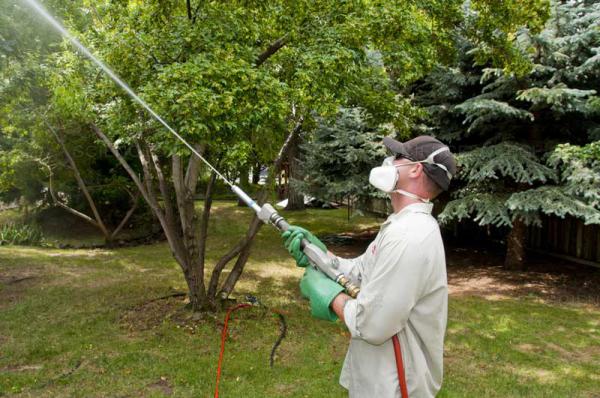 چگونگی تولید انواع کود مرغی