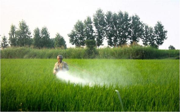 تولید انواع کود مرغی مایع سبزیجات